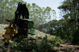 a large machine is in the middle of a forest